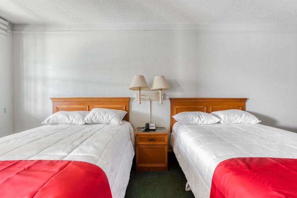 Bright Double Bed Room